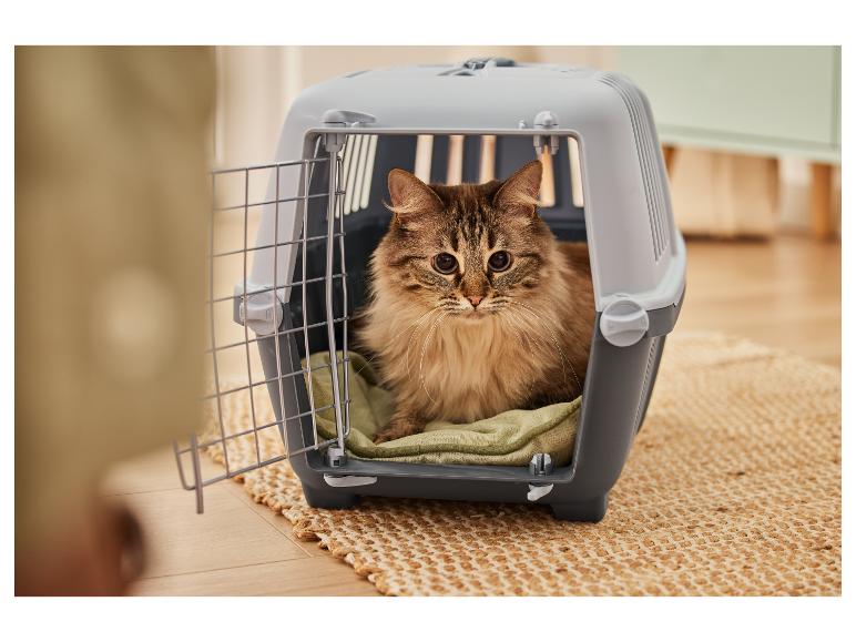 Un chat dans une cage de transport pour animaux de compagnie.