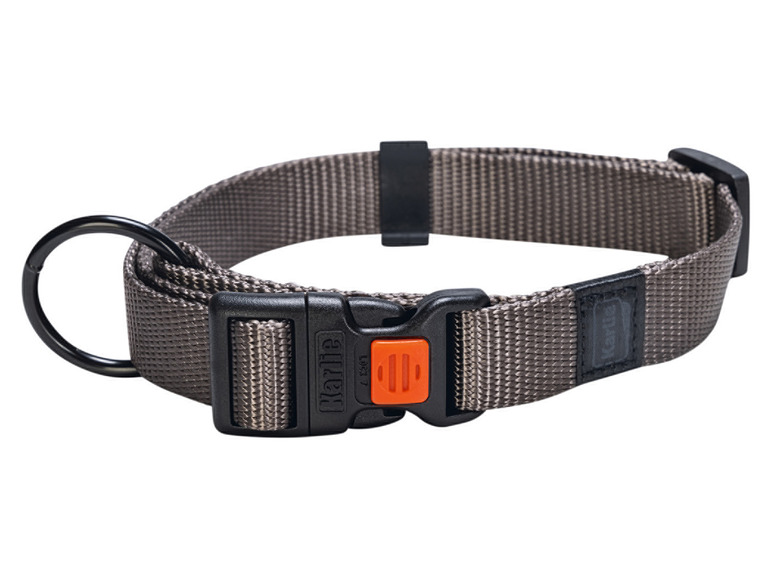 Aller en mode plein écran : Collier avec laisse - Image 5