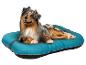 Un chien australien sur un lit pour chien bleu turquoise.