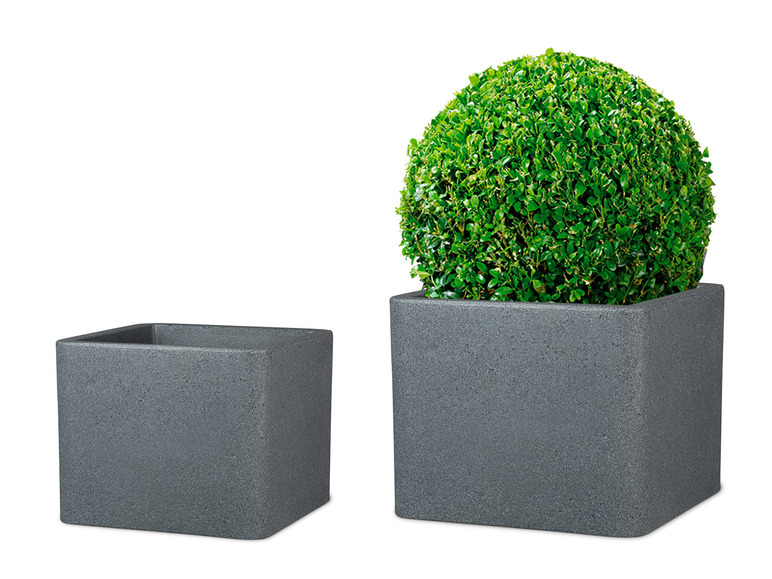 Deux pots de fleurs gris, l'un avec une plante verte ronde