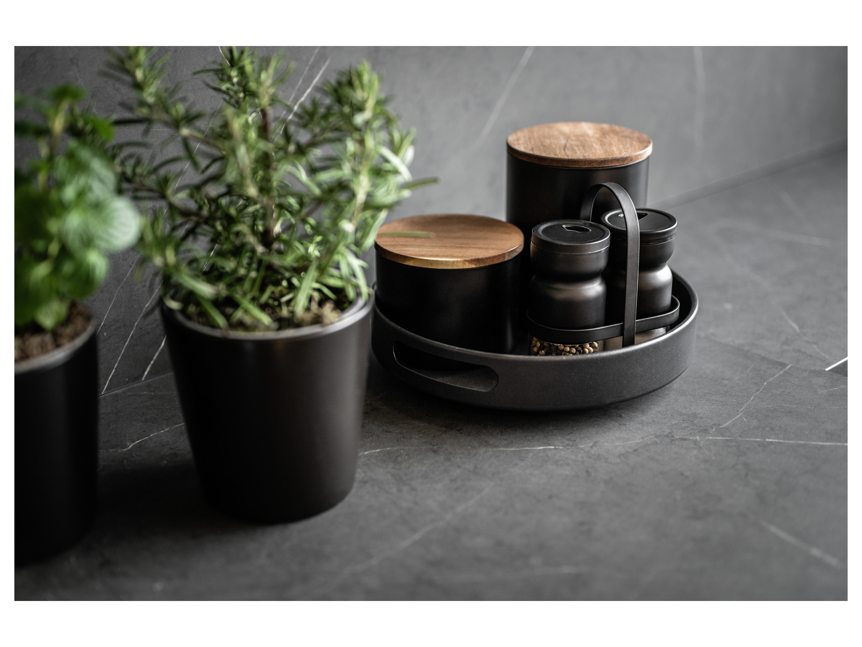 Plateau Wenko Susie - vue 3