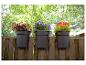 Trois pots de fleurs colorés suspendus à une clôture en bois