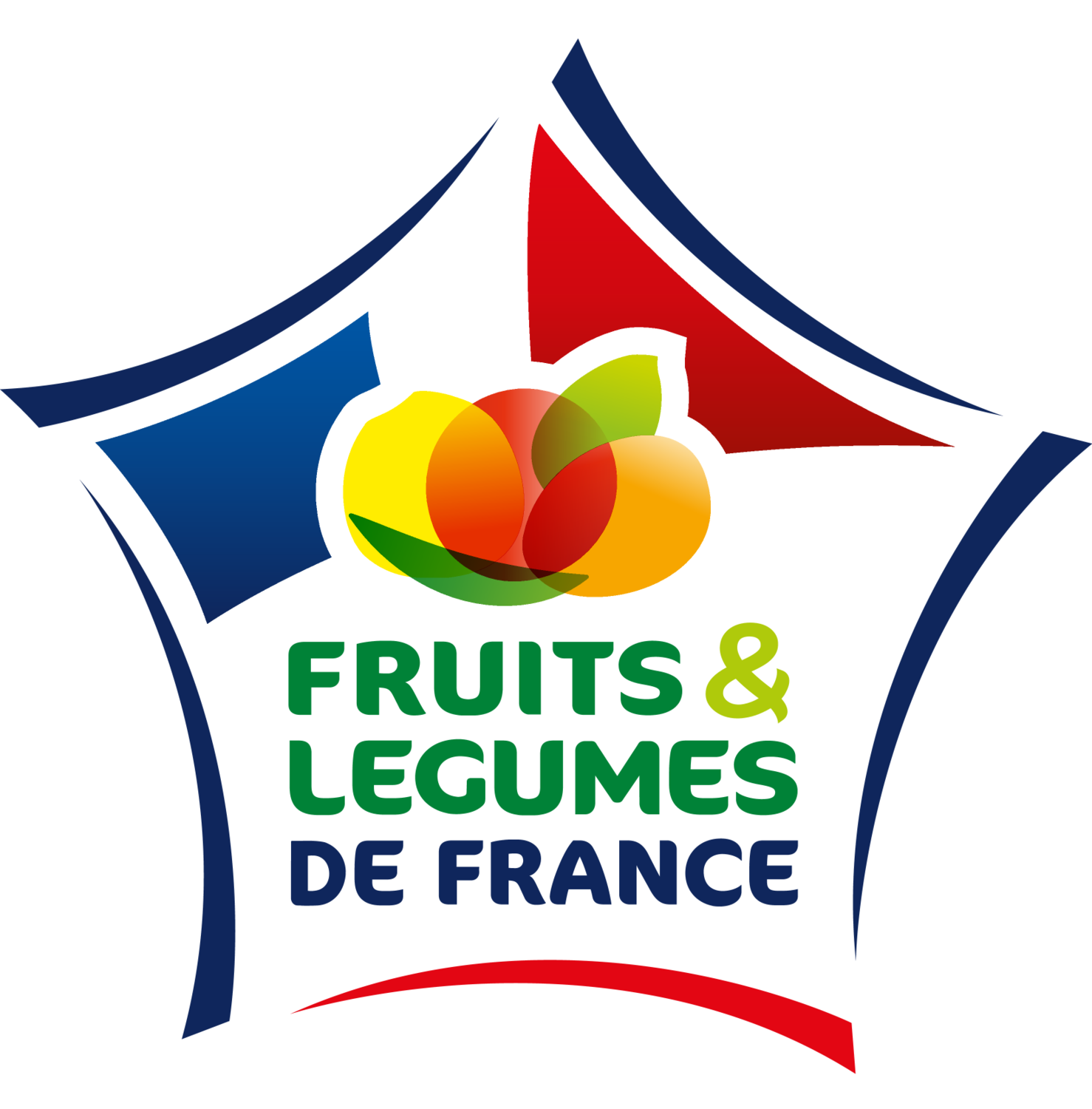 Logo avec le texte ' FRUITS & LEGUMES DE FRANCE ' sur fond de drapeau français.