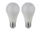 Deux ampoules LED blanches à vis.