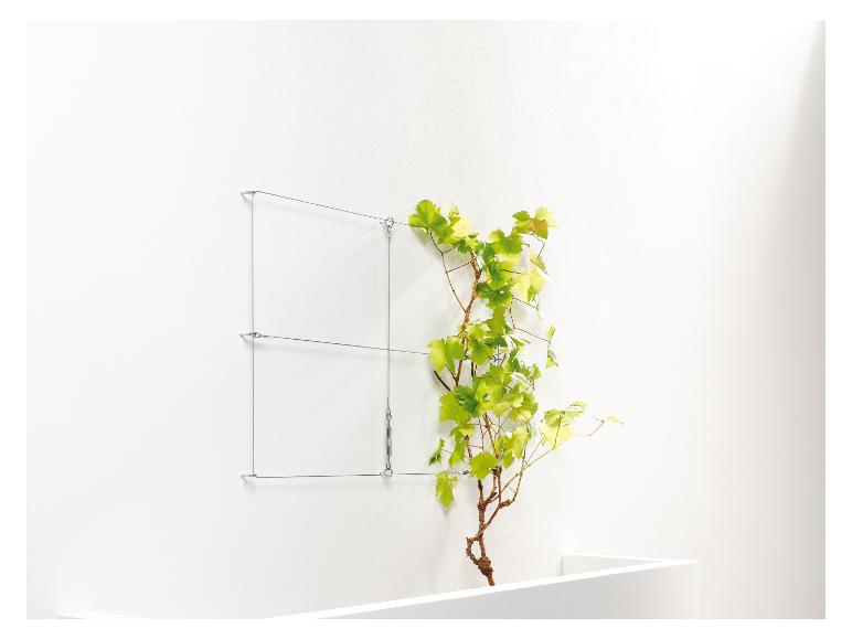 Une plante pousse le long d'un câble en acier sur un mur blanc.