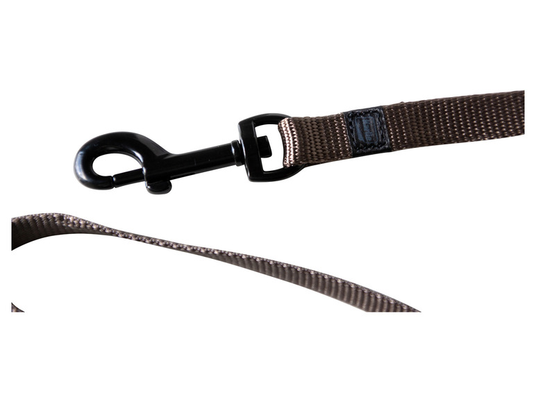 Aller en mode plein écran : Collier avec laisse - Image 8
