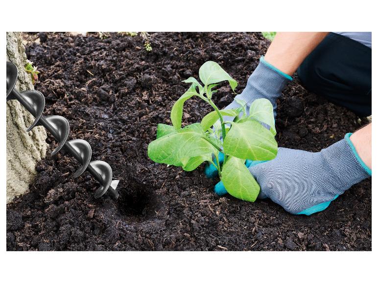 Gants de jardinage et une tarière pour planter une jeune plante dans le jardin.