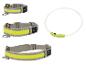 Deux colliers pour chiens gris réfléchissants et un collier lumineux blanc.