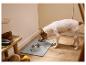 Chien mangeant dans une gamelle MAX & MILA'S WORLD sur un tapis.