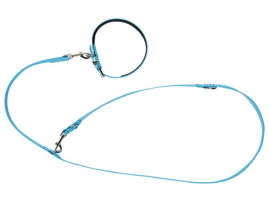 zoofari® Collier et laisse pour chiens, réglable sur 3 positions