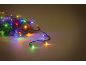 Guirlande lumineuse de Noël colorée brillant sur des branches de pin.