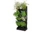 Un jardin vertical avec différentes herbes et plantes.