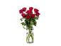 Bouquet de roses rouges fraîches dans un vase en verre avec de l'eau.