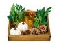 Plateau en bois avec citrouilles, pommes de pin et un verre.