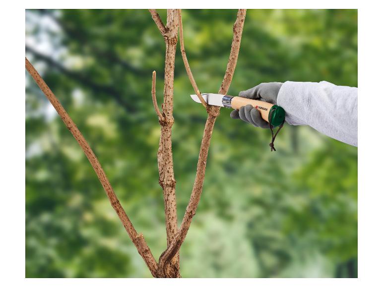 Main coupant une branche d'arbre avec un couteau, avec un fond vert.