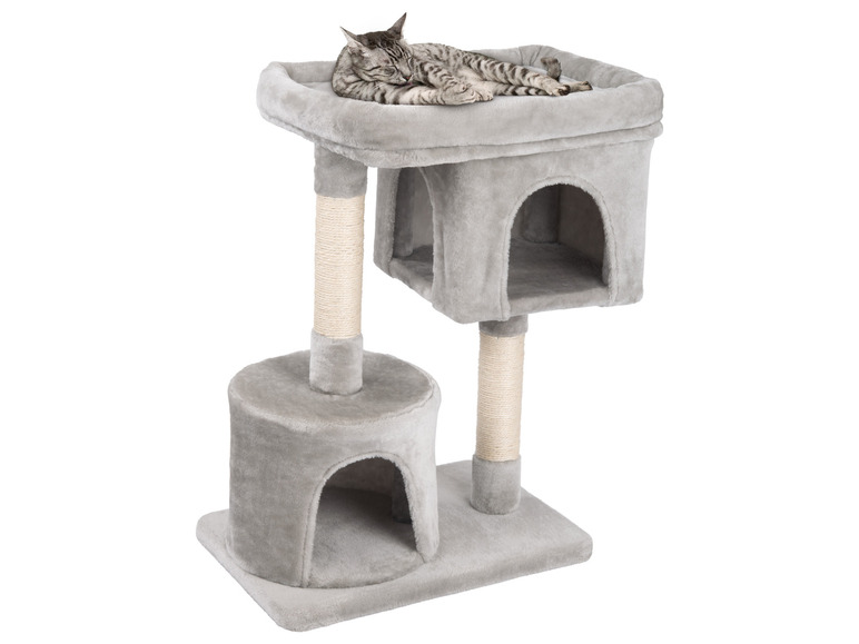 Aller en mode plein écran : Arbre à chat - Image 2