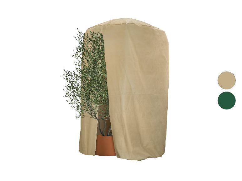 Housse de protection beige pour plantes avec un olivier en pot de terre cuite