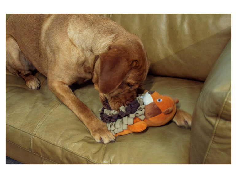 Aller en mode plein écran : Peluche pour chien - Image 10