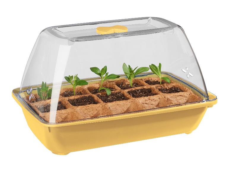Une caisse de semis jaune avec un couvercle et des jeunes plants