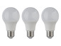 Trois ampoules LED blanches à vis.
