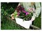 Personne en sweat à capuche vert tenant une jardinière blanche remplie de fleurs colorées.