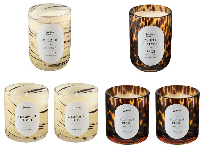 Bougies parfumées Livarno aux senteurs de figue sauvage, eucalyptus, champagne et poires.