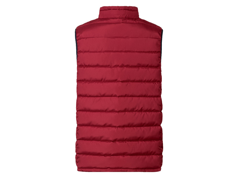 Aller en mode plein écran : LIVERGY® Veste sans manches réversible homme - Image 14