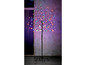 Un arbre illuminé avec des lumières colorées