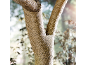 Tronc d'arbre enveloppé de toile de jute, avec un arrière-plan naturel flou.