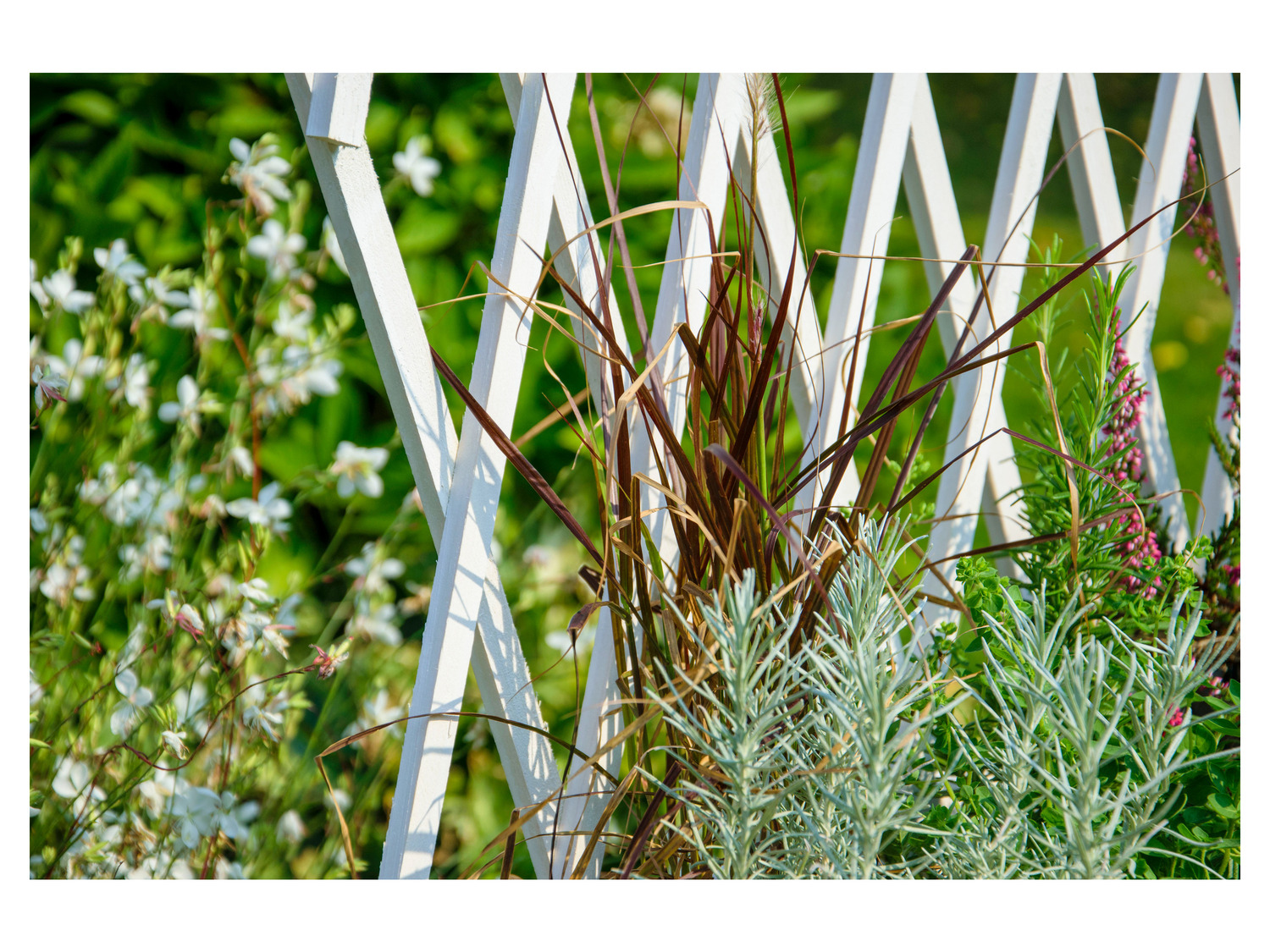 Jardinière Surélevée Avec Treillis Zhongma - 40x90x124 Cm - Acier Carbone - Pour Légumes, Fleurs - Balcon, Terrasse