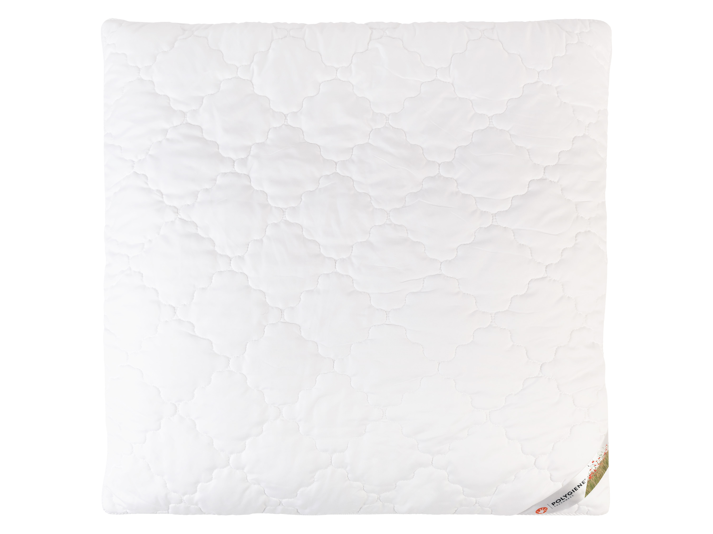 LIVARNO home Oreiller Polygiene®, 60 x 60 cm