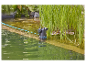 Pompe Gardena pour bassin, immergée dans l'eau entre les plantes.