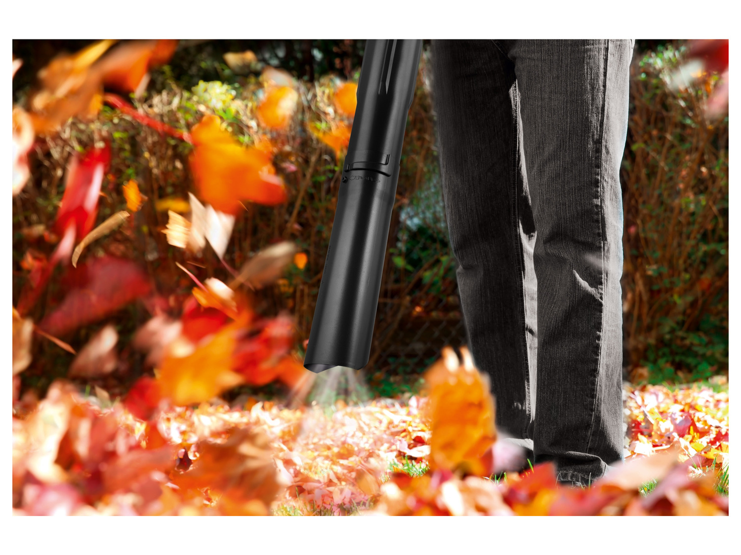 Sitemapcdatahttpsshopinf Inetcomaspirateur De Feuilles Lidl