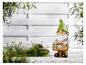 Un nain de jardin avec une pancarte 'Bienvenue', entouré de pierres et de plantes.