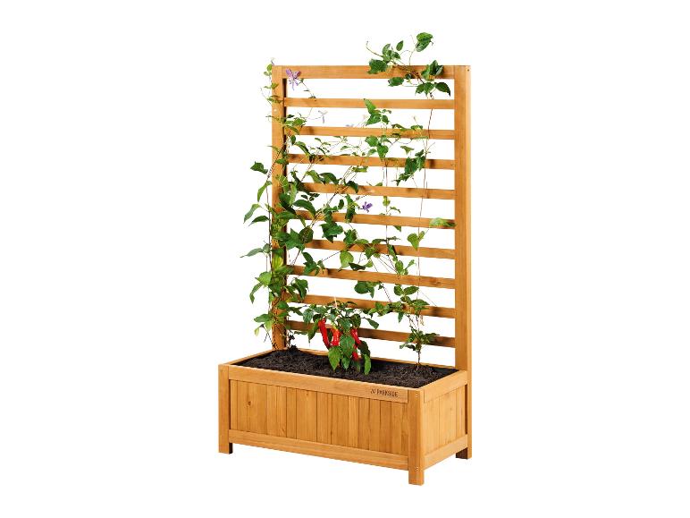 Jardinière en bois avec treillis et plante