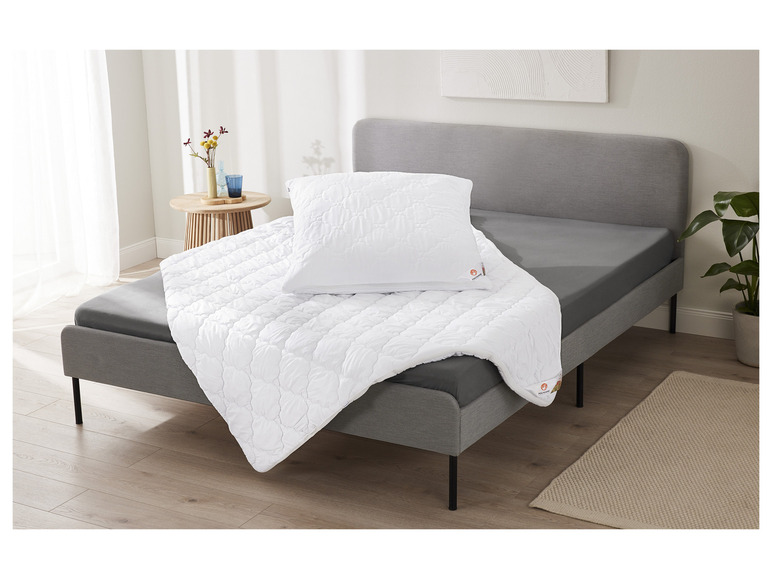 Aller en mode plein écran : LIVARNO home Oreiller Polygiene®, 60 x 60 cm - Image 2