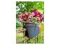 Jardinière suspendue avec des fleurs roses et fuchsia sur une balustrade en fer rouillée.