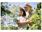 Un homme et une fille arrosent des plantes dans le jardin avec un tuyau d'arrosage vert.