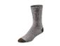 Une chaussette grise unie avec un bout et un talon marron foncé et une bande verte.