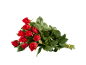 Bouquet de roses rouges fraîches avec des feuilles vertes sur fond noir.