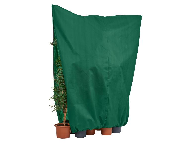 Plantes en pot couvertes d'une bâche verte de protection contre le gel.