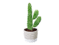 Cactus vert dans un pot texturé gris et blanc avec un motif de feuilles.