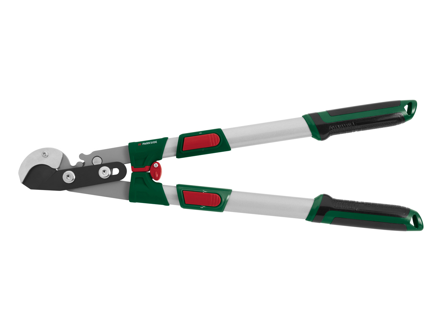 Coupe Branche Lidl