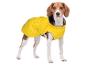 Chien beagle en imperméable jaune debout et regardant droit.