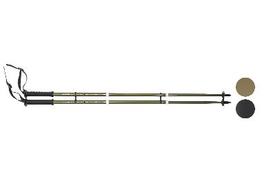 CRIVIT Lot de 2 bâtons de trekking