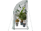 Serre tunnel avec plantes en pot, dont agrumes, palmier et laurier-rose.