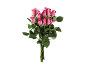 Un bouquet de roses roses avec des feuilles vertes sur fond noir.