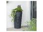 Grand pot de fleurs gris foncé planté de véronique et de lierre près d'une porte.