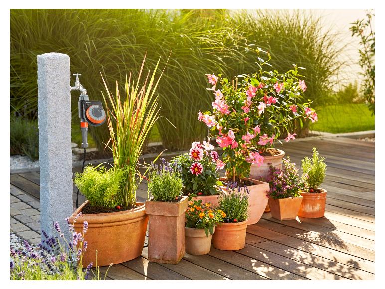 Arrosage automatique et plantes en pot : Gardena, fleurs, herbes.