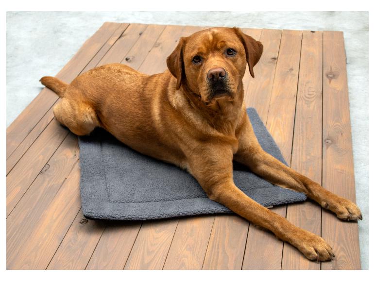 Un labrador brun couché sur un tapis gris pour chien sur un sol en bois.